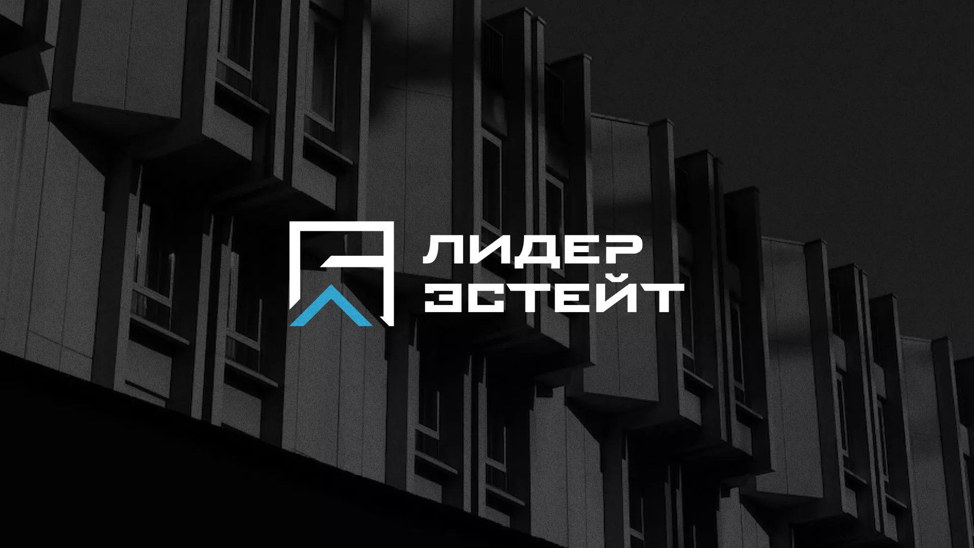 Разработка логотипа агентства недвижимости «Лидер Эстейт» в Майкопе